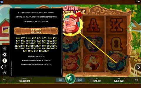 Oink Country Love Slot Machine Paylines Screen