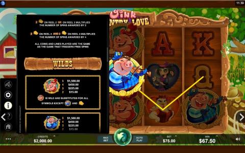 Oink Country Love Slot Machine Wild Symbols and Payouts Screen