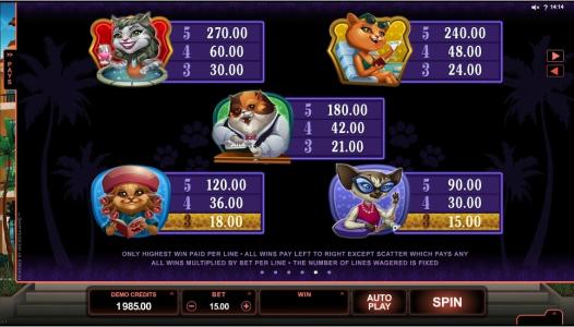 Kitty Cabana Slot Machine Paytable Screen