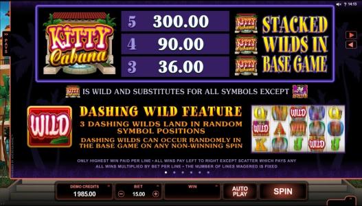 Kitty Cabana Slot Machine Scatter Awards and Wild Symbol Screen