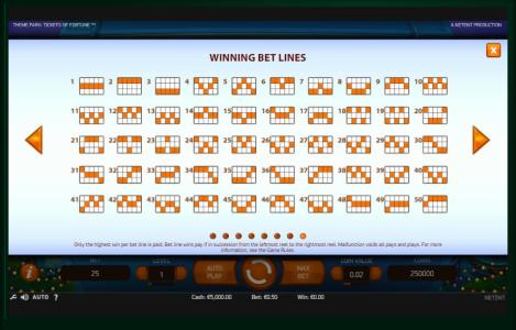 Theme Park: Tickets of Fortune Slot Machine Paylines Screen