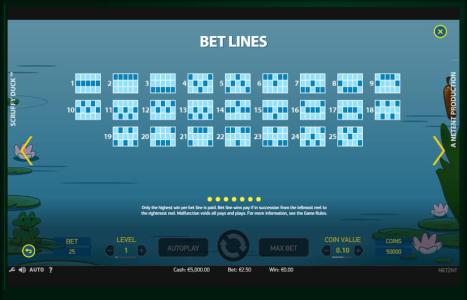 Scruffy Duck Slot Machine Paylines Screen