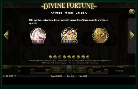 Divine Fortune Slot Machine Bonus Symbol Screen