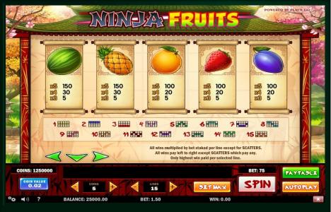 Ninja Fruits Slot Machine Paytable Screen