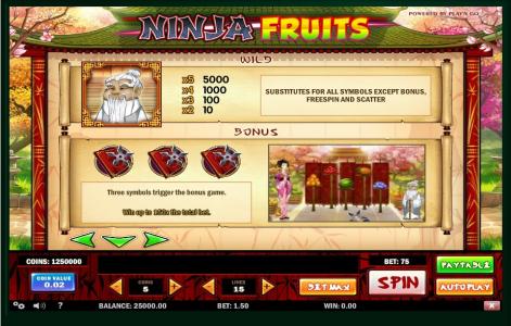 Ninja Fruits Slot Machine Free Spins and Extra Scatter Screen