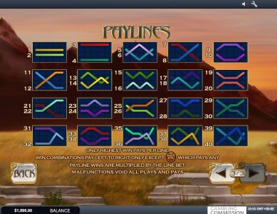 White King Slot Machine Paylines Screen