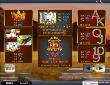 White King Slot Machine Paytable Screen