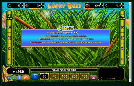Lucky Buzz Slot Machine Gamble Feature Screen