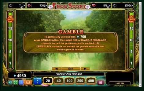 Frog Story Slot Machine Gamble Feature Screen by Frog Story