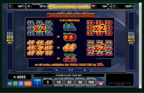 Supreme Hot Slot Machine Multiplier Feature Screen