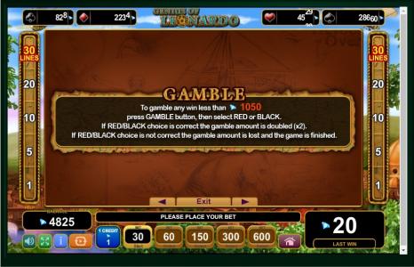 Genius of Leonardo Slot Machine Gamble Feature Screen
