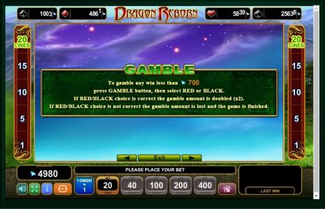 Dragon Reborn Slot Machine Gamble Feature Screen