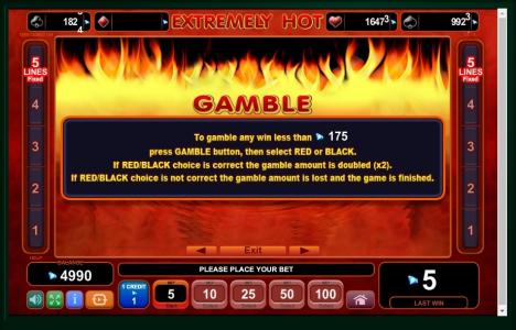 Extremely Hot Slot Machine Gamble Feature Screen