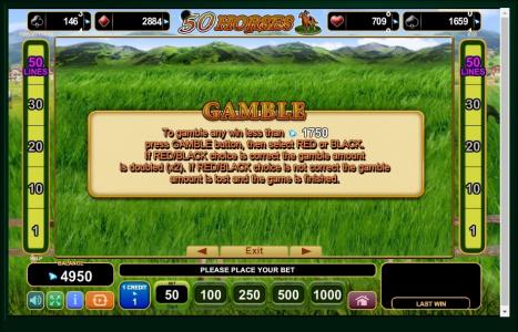 50 Horses Slot Machine Gamble Feature Screen