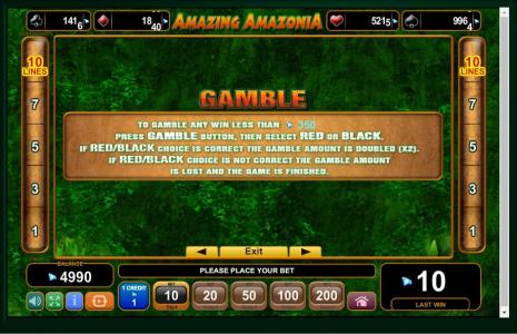Amazing Amazonia Slot Machine Gamble Feature Screen