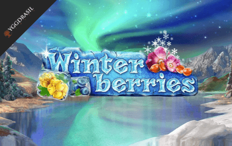 Winterberries slot logo