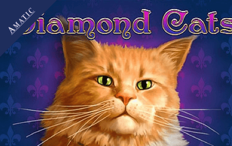 Diamond Cats slot logo