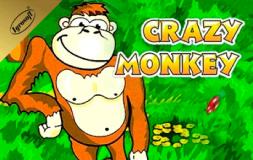 Crazy Monkey slot logo