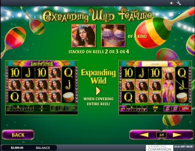 Samba Brazil Slot Machine Wild Symbol Screen