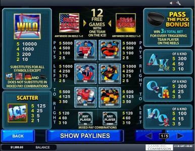 Ice Hockey Slot Machine Paytable Screen