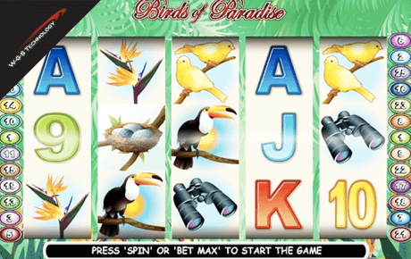 Birds of Paradise slot logo