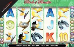 Birds of Paradise slot logo