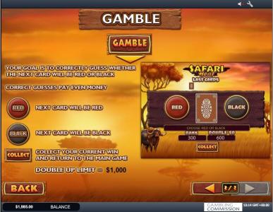 Safari Heat Slot Machine Gamble Feature Screen