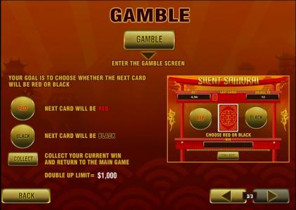 Silent Samurai Slot Machine Gamble Screen
