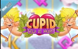 Cupid Wild at Heart slot logo