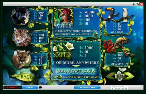 Secrets of the Amazon Slot Machine Paytable Screen