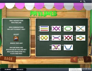 Funky Fruits Farm Slot Machine Paylines Screen