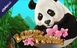 Lucky Panda slot logo