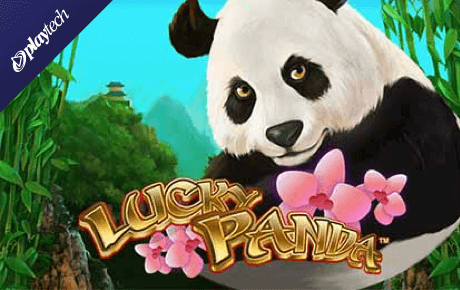 Lucky Panda slot logo