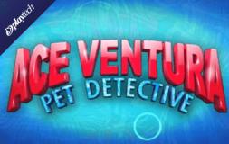 Ace Ventura slot logo