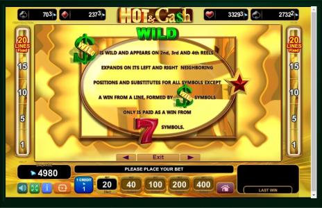 Hot Cash Slot Machine Wild Symbol Screen