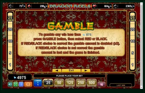 Dragon Reels Slot Machine Gamble Feature Screen