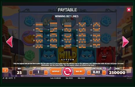 Copy Cats Slot Machine Paylines Screen