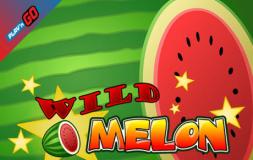 Wild Melon slot logo