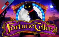 Fortune Teller slot logo