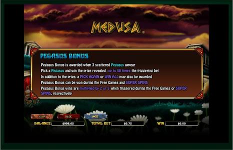 Medusa II Slot Machine Game Rules Screen