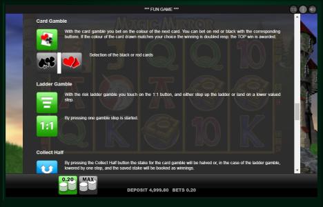 Magic Mirror Slot Machine Gamble Feature Screen