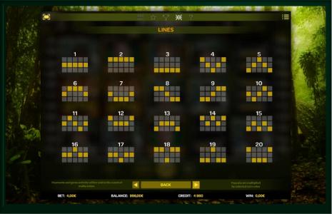 Platoon Wild Slot Machine Paylines Screen