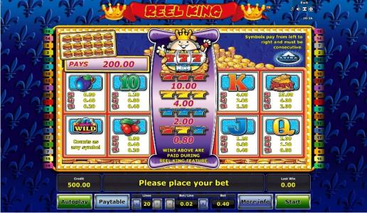 Reel King Slot Machine Paytable Screen