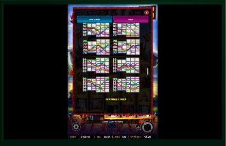 Crazy Goose Slot Machine Paylines Screen