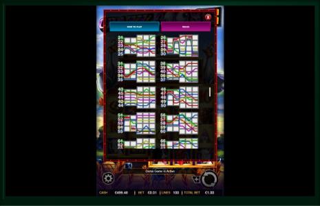 Crazy Goose Slot Machine Paylines Screen