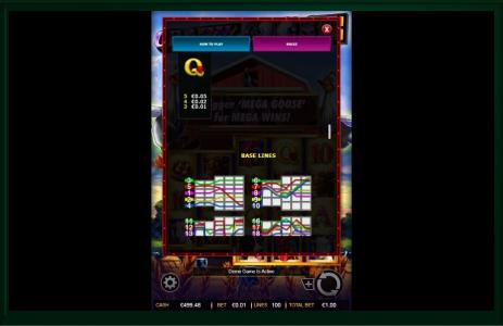Crazy Goose Slot Machine Paylines Screen