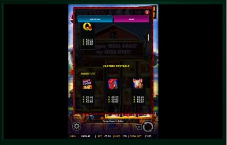Crazy Goose Slot Machine Paytable Screen