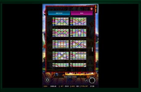 Crazy Goose Slot Machine Paylines Screen