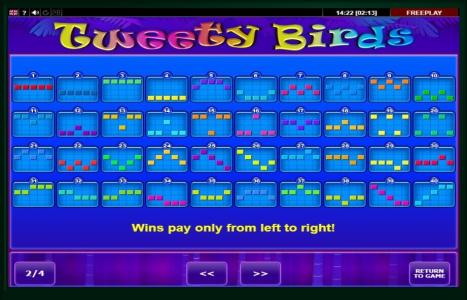 Tweety Birds Slot Machine Paylines Screen
