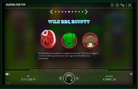 Kitchen Drama: BBQ FRENZY Slot Machine Wild Bonus Symbol Screen